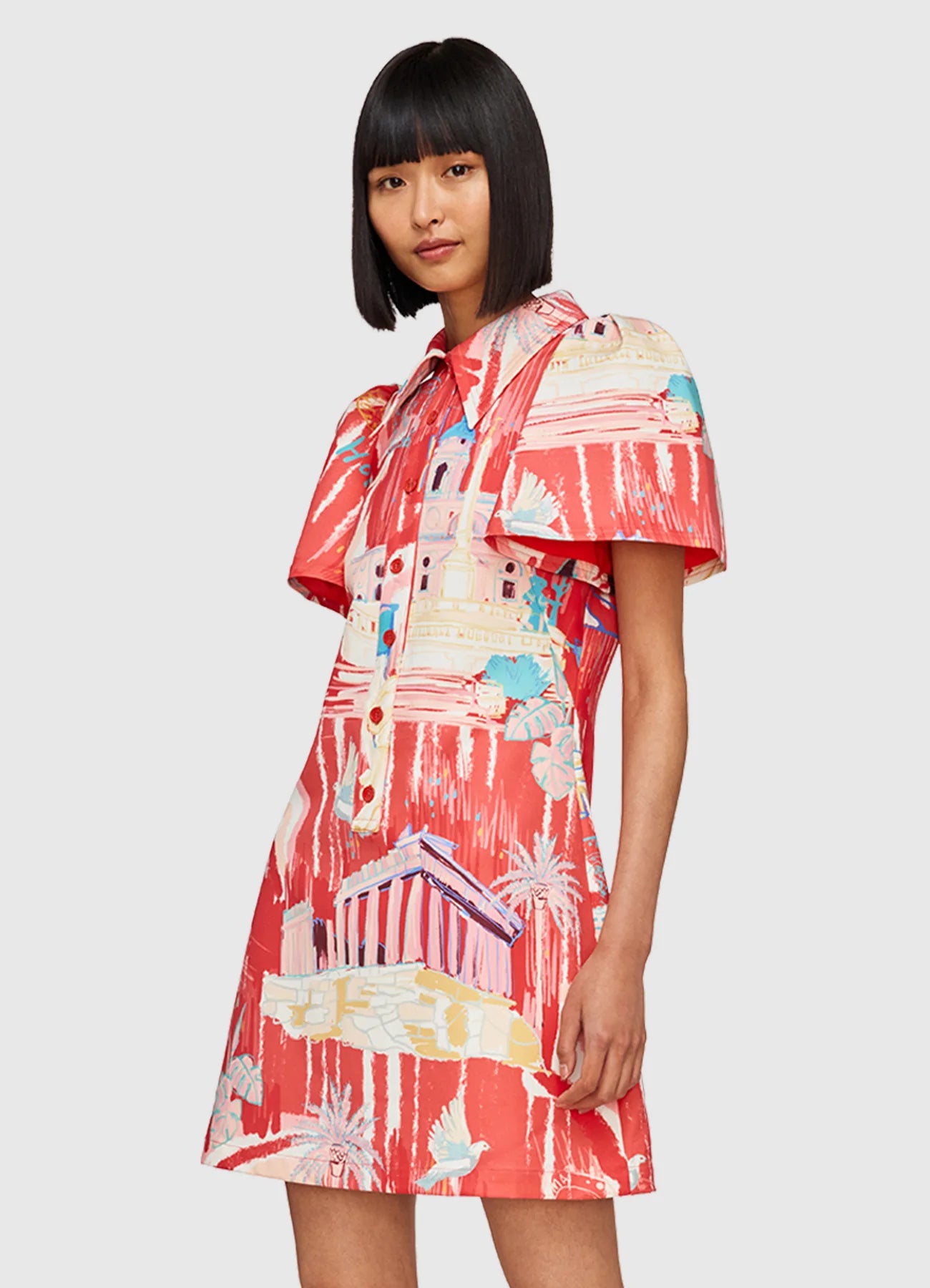 Brooke Shirt Sleeve Mini Dress Roma Print